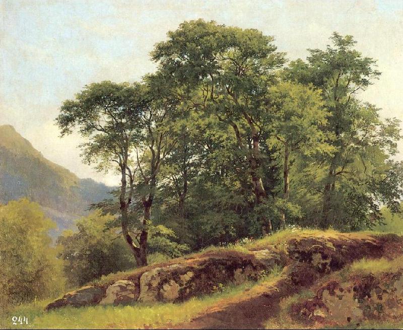 Ivan Shishkin Beech Forest in Switzerland Norge oil painting art